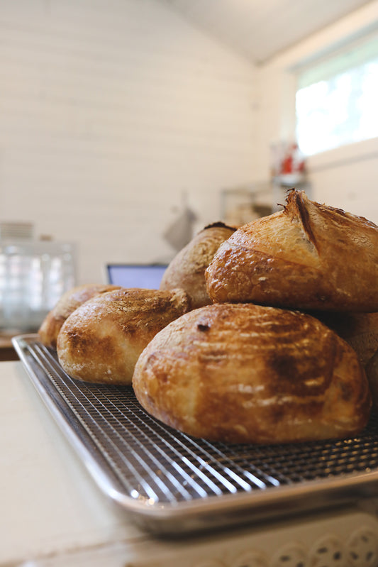 Sourdough Bread
