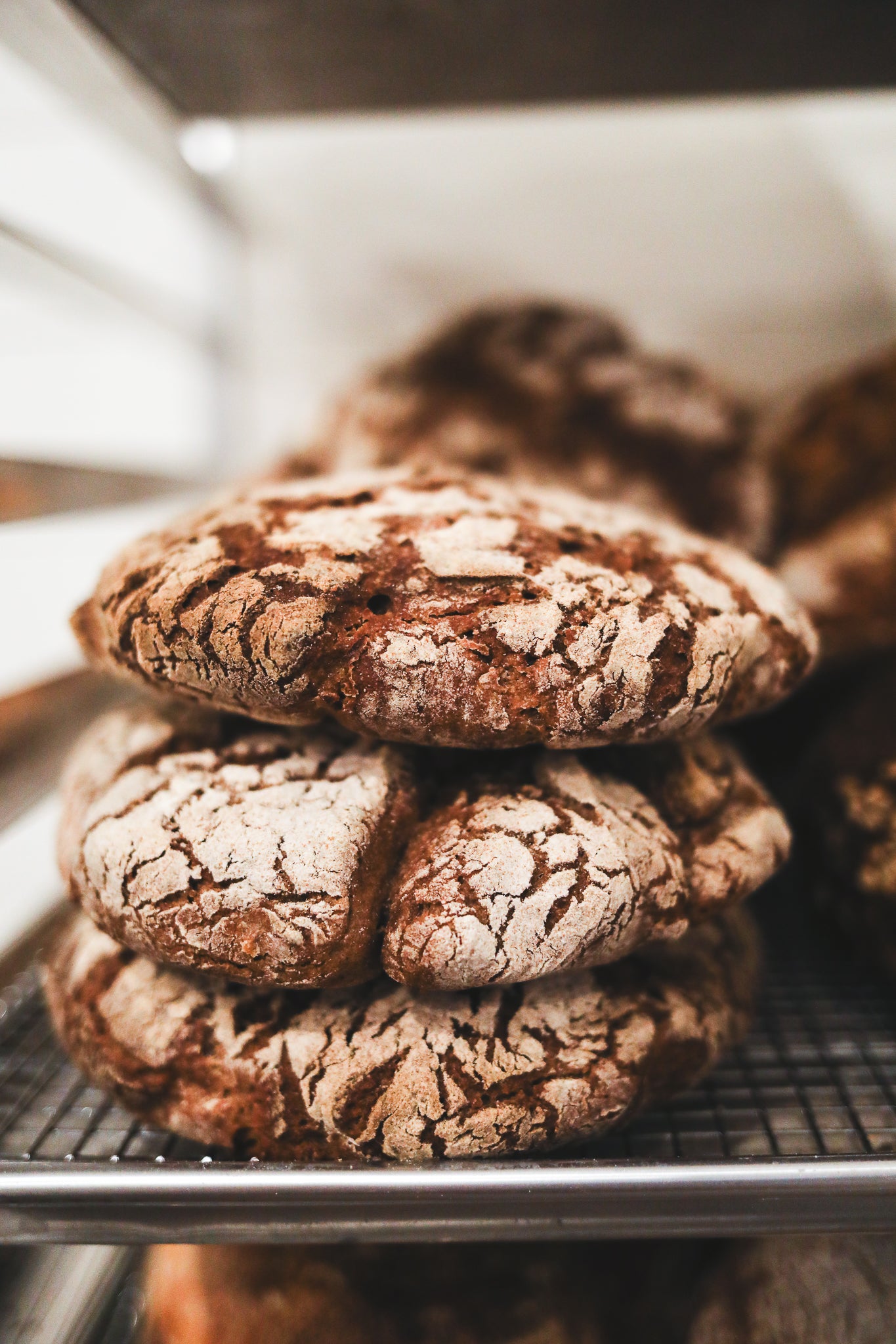 Dark Finnish Rye Bread